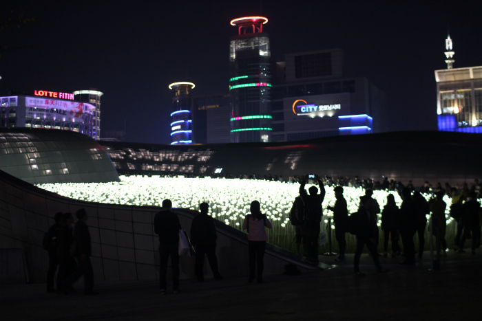 萬朵雪白玫瑰花海，是近期最吸睛的展覽。(圖片來源／kyeongheum）