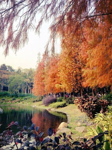 青衣公園雖小，但人也沒有大棠那麼多，可以來這圖一片清幽。(圖片來源／weshare）