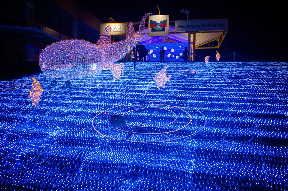 一顆顆的燈飾組成了一片藍色海洋，在夜裡閃爍的相當浪漫。(圖片來源／kaiyukan）