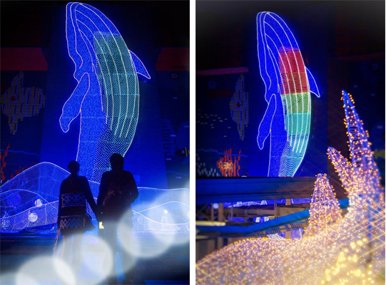 巨大的藍鯨從燈海中躍起。(圖片來源／海遊館）