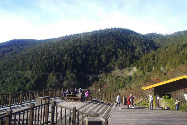 太平山森林遊樂園區青山環繞非常適合踏青出遊。(圖片來源／太平山．森動一世紀系列活動）