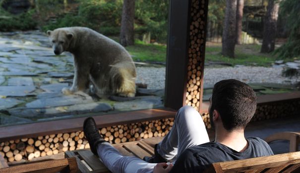 住客能夠舒適的觀賞北極熊作息。(圖片來源／La Fleche zoo）