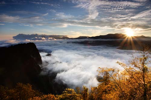 在阿里山雲海日出景致迷人。(圖片來源／嘉義旅遊網）