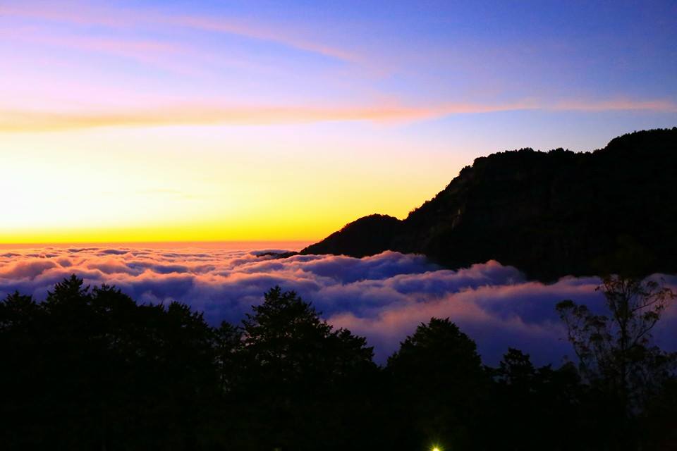 阿里山雲海紫色。(圖片來源／阿里山森林遊樂區）