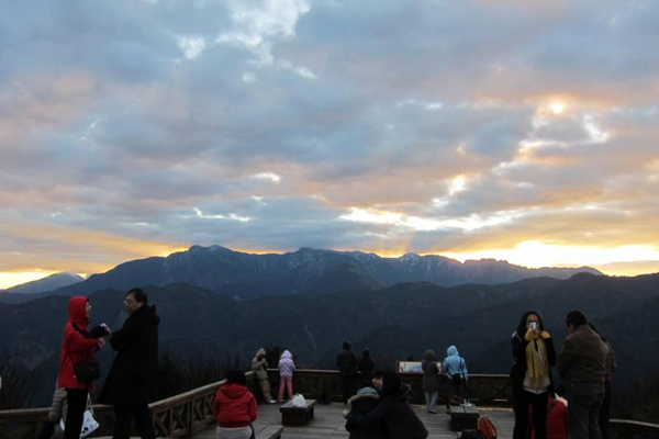 阿里山小笠原平台。(圖片來源／林務局）