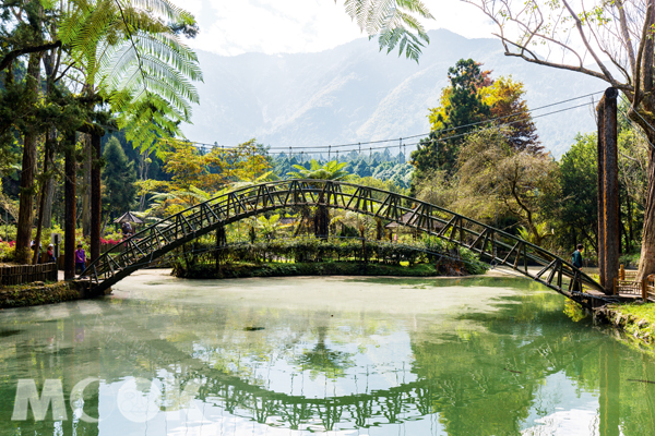 溪頭大學橋。(圖片提供／墨刻編輯部)