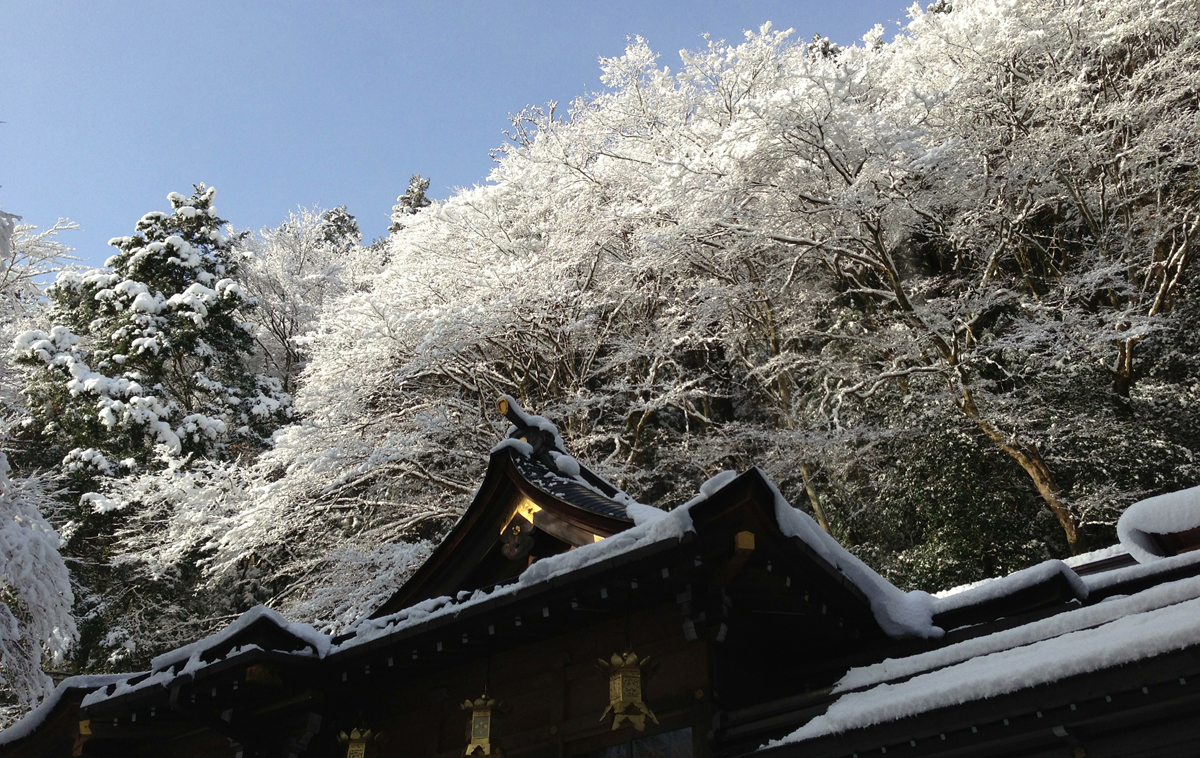 樹上積雪結霜。(圖片來源／kifunejinja）