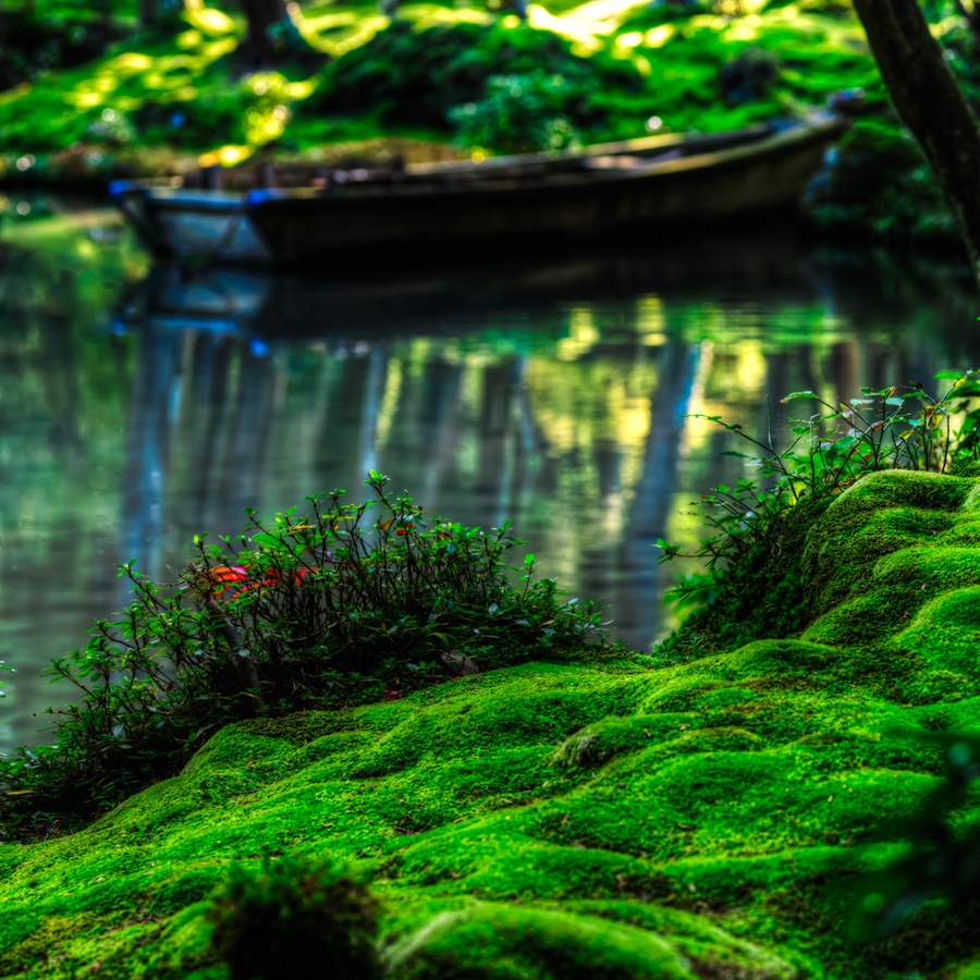 綠苔與水光相映生輝充滿詩意。(圖片來源／pixblend)