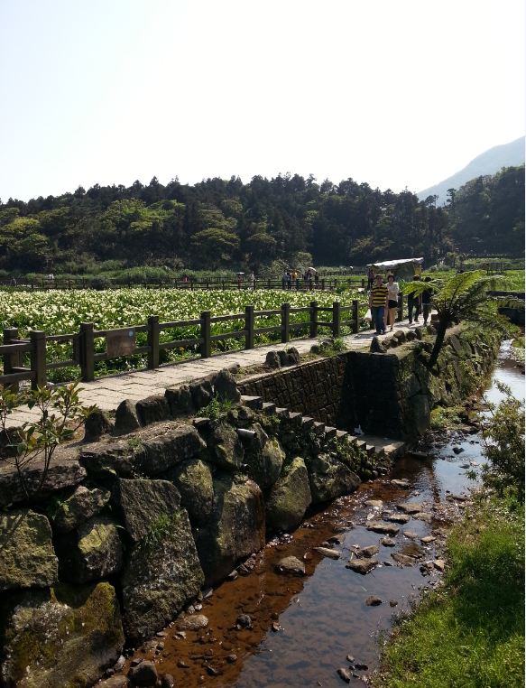 頂湖竹子湖溪。(圖片來源／台北市大地處)