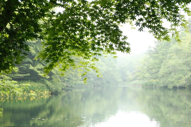 雲場池春夏時節，周遭綠意盎然，靜謐而美好。(圖片來源／Hotel Tsuruya)