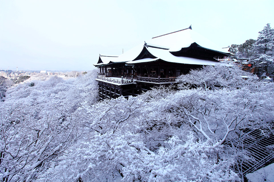 7大日本熱門旅遊景點，紛紛祭出住宿優惠。(圖片提供／Expedia Taiwan)
