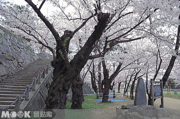 盛岡城跡公園。(圖片提供／墨刻編輯部)