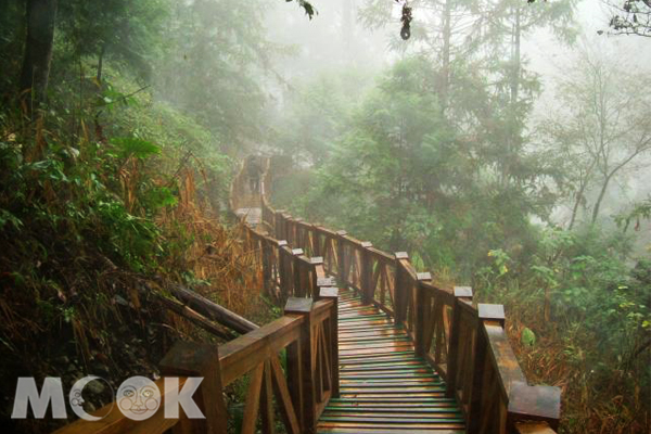 八仙山森林步道。（圖片提供／林務局嘉義林區管理處）