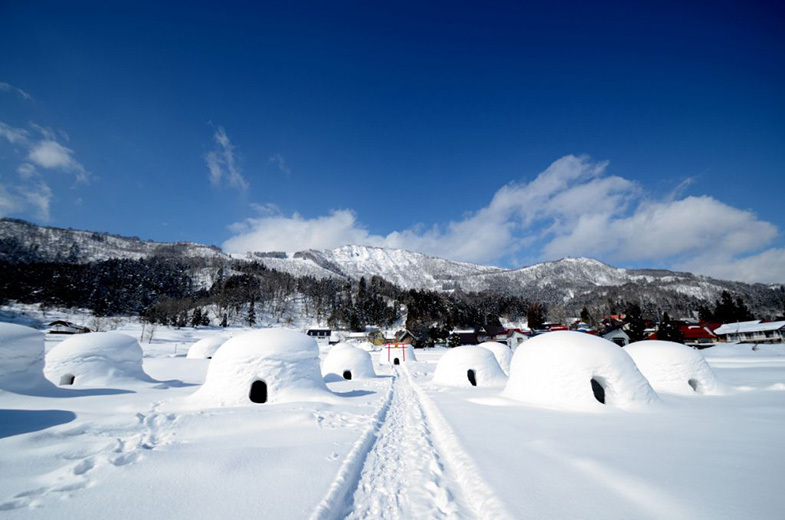 每年冬季雪地上大概會有20座的雪屋。(圖片來源／iiyama-ouendan)