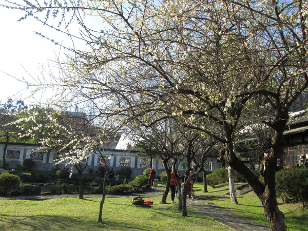 逸仙公園。(圖片來源／台北市公園處)