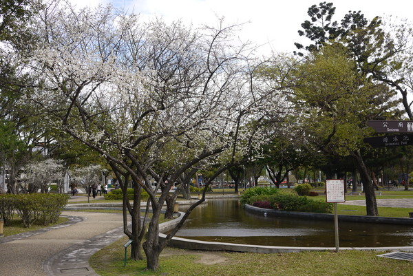 榮星花園公園。(圖片來源／台北市公園處)