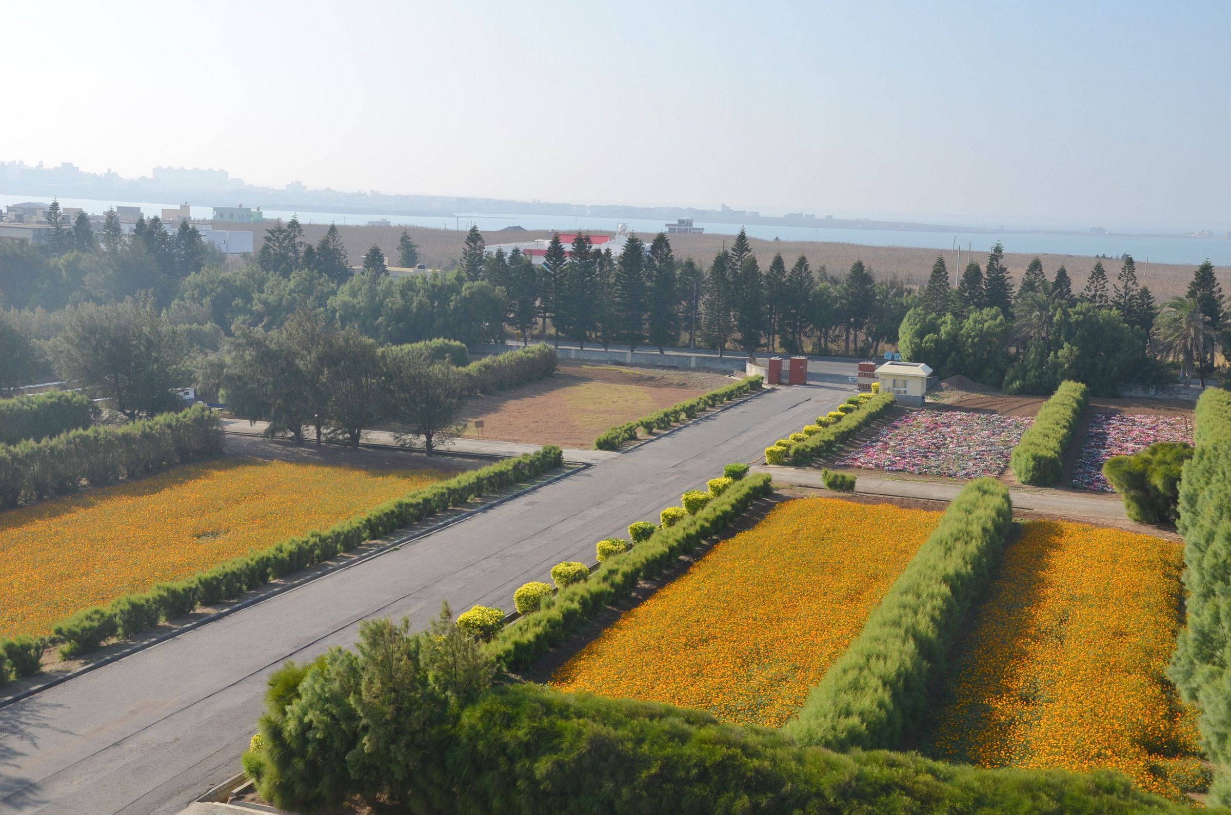 高處鳥瞰澎湖分場園區，檉柳防風林保護下，花團景蔟，綠意盎然。(圖片來源／高雄農改場)