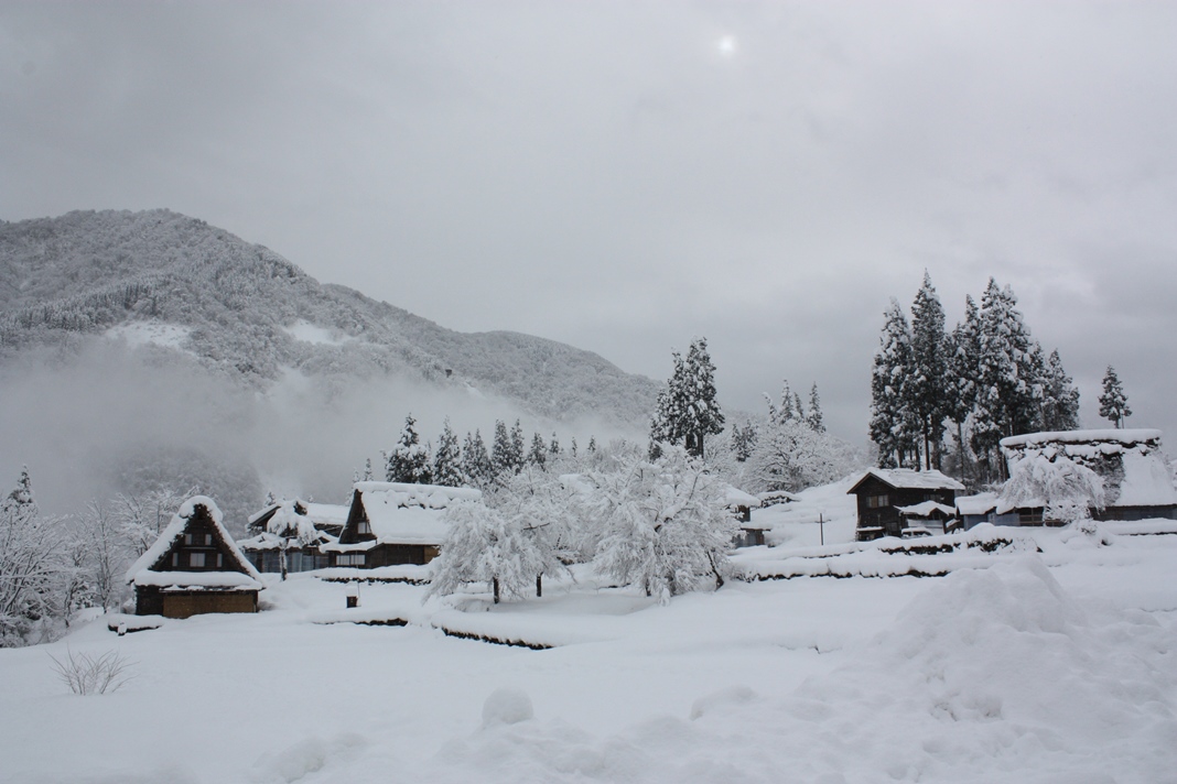 雪地裡的合掌村。(圖片來源／五箇山総合案内所)