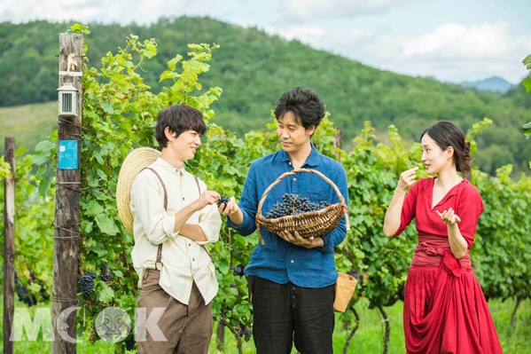 「葡萄的眼淚」由大泉洋、安藤遇子、染谷將太主演。(圖片提供／天馬行空)