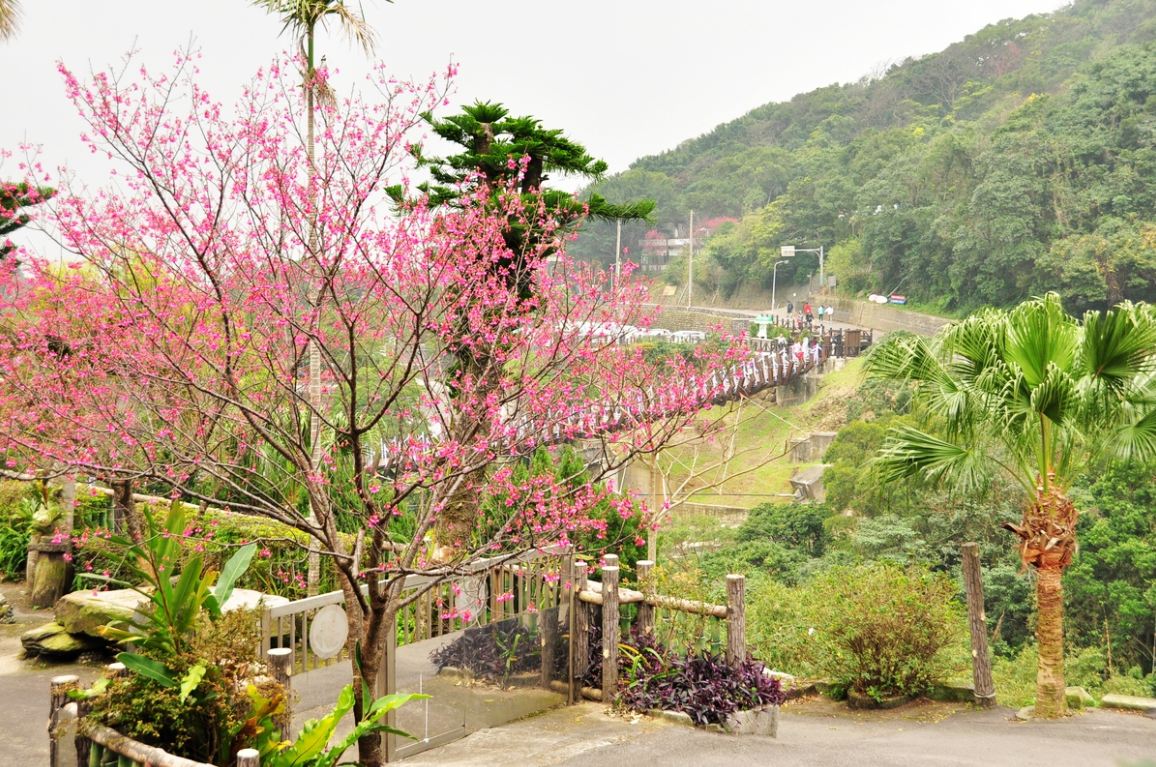 白石湖吊橋。(圖片來源／北市大地處)