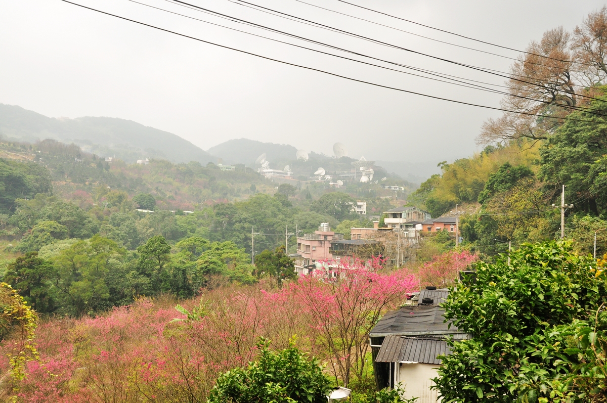 平等里。(圖片來源／北市大地處)