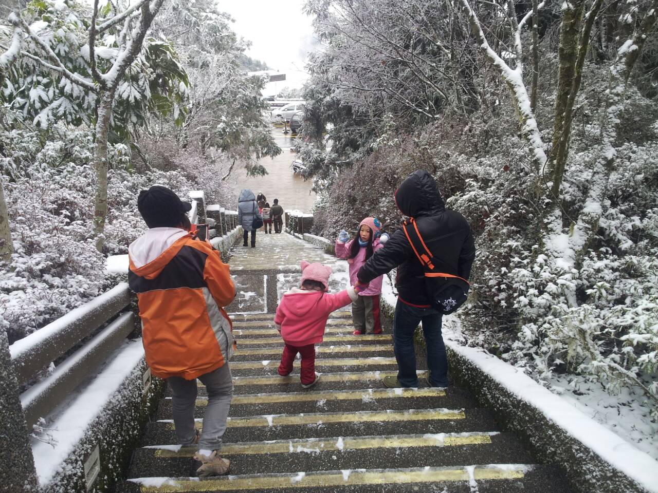 太平山陸續有間歇性降雪的情況。(圖片來源／農委會林務局)