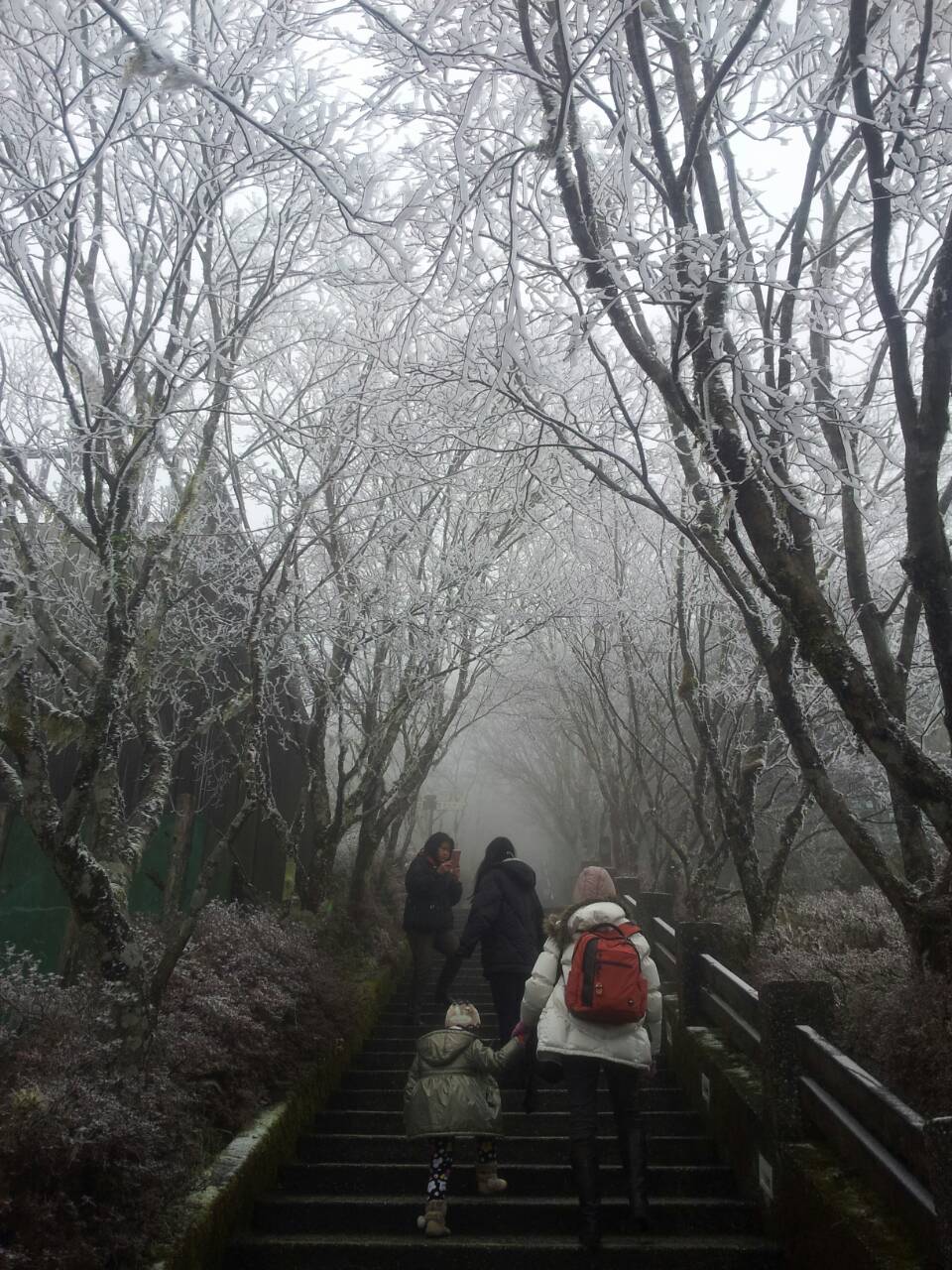 由於地面結冰，目前太平山翠峰景觀道路及翠峰湖暫不開放。(圖片來源／農委會林務局)