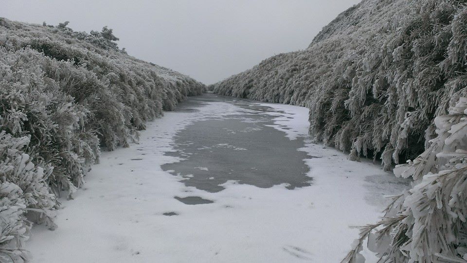 部分路段需要加裝雪鏈才能通行。(圖片來源／合歡山賞雪機動團)