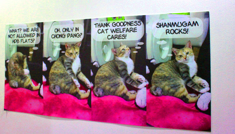 藉由作品的展出希望可以讓更多人認識貓咪。(圖片來源／The Cat Museum, Muses & Mansion of Singapore）