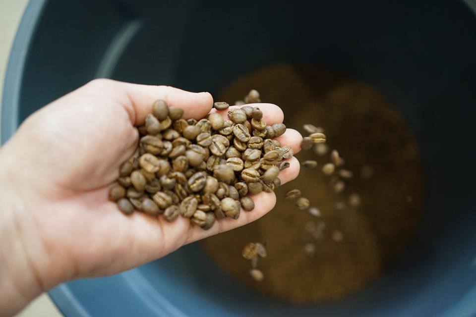 每杯咖啡都採用自家所烘焙的咖啡豆。(圖片來源／Blue Bottle Coffee Japan)