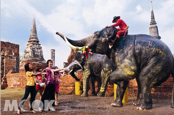 泰國的象徵動物 -- 大象，在潑水節活動中也不缺席。(圖片提供／泰國觀光局)