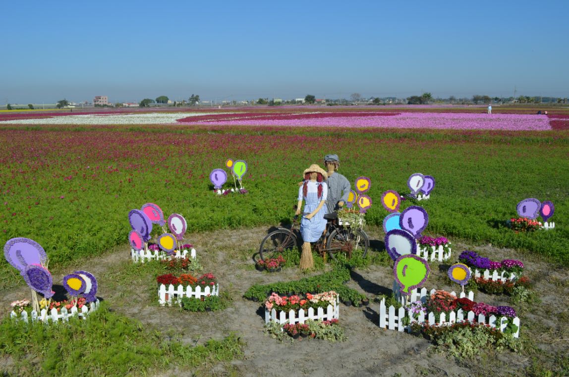 2014年莿桐花海季。(圖片來源／雲林縣政府)