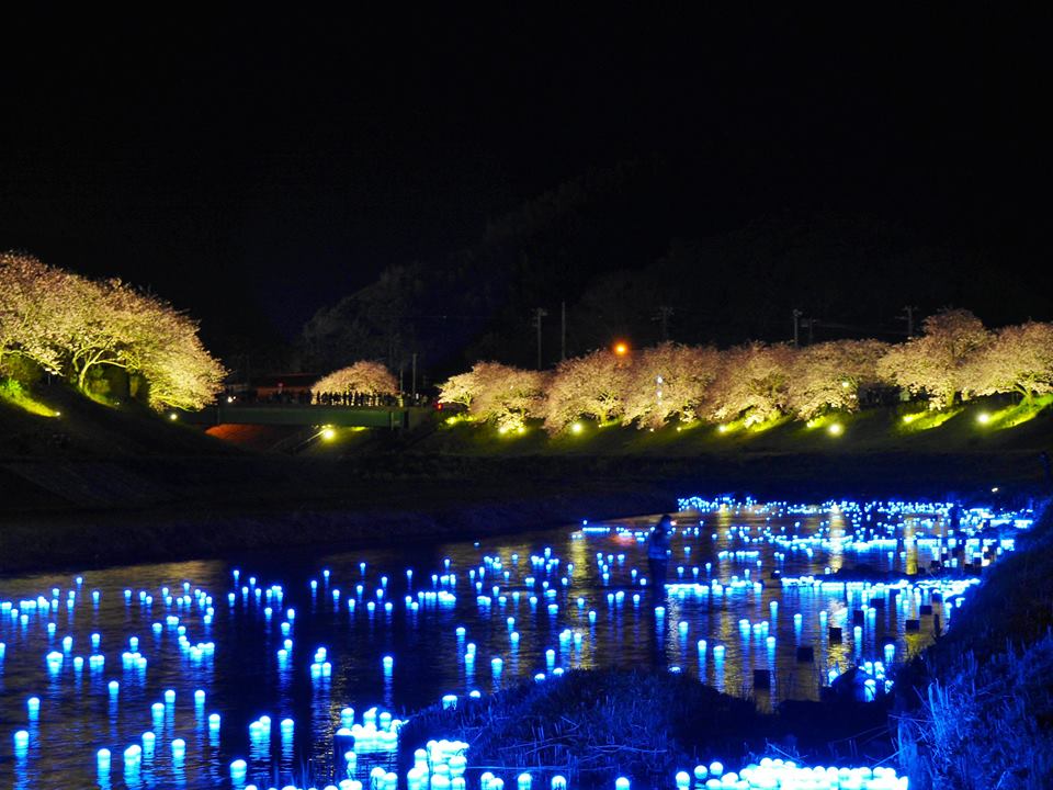 河裡的LED螢光球隨河流動，像流星般在夜裡流動。(圖片來源／夜桜・流れ星）