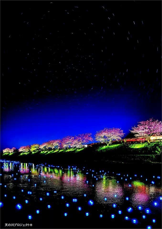 南伊豆的夜景點點光影格外動人。(圖片來源／夜桜・流れ星）