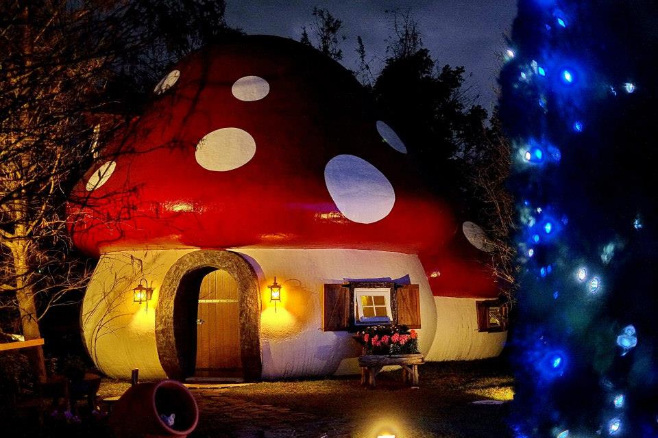 點點燈火讓蘑菇屋顯得格外夢幻，讓人以為誤闖小精靈的家。(圖片來源／花見幸福莊園-花蓮民宿)