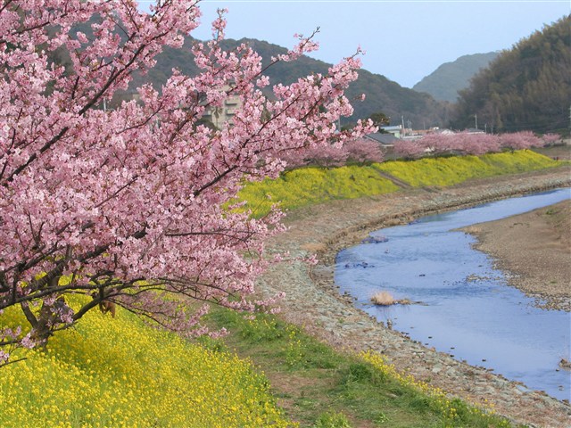 河岸景色繽紛浪漫。(圖片來源／minami-izu)