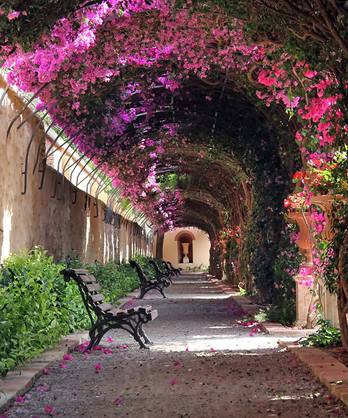 Valencia, Spain。(圖片來源／boredpanda)