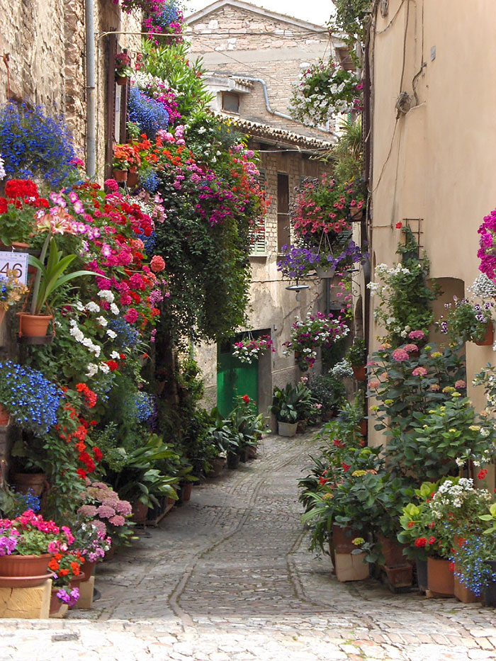 Spello, Italy。(圖片來源／boredpanda)