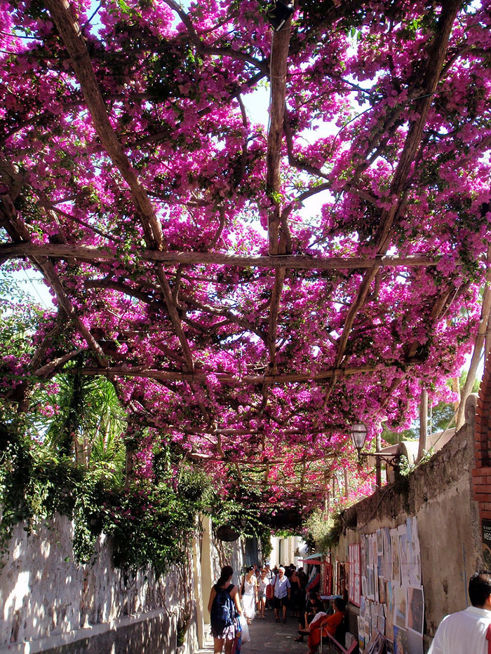 Positano, Italy。(圖片來源／boredpanda)