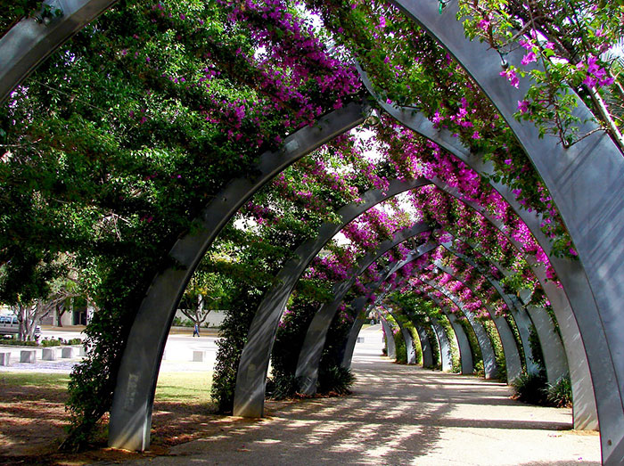 Brisbane, Australia。(圖片來源／boredpanda)