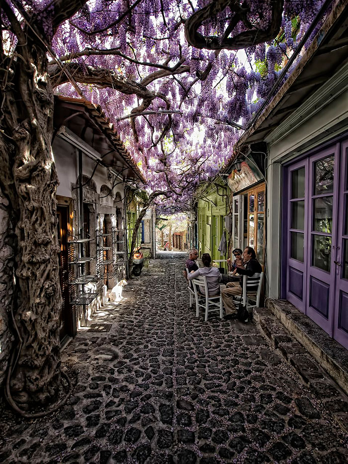 Molyvos, Lesvos, Greece(圖片來源／boredpanda)