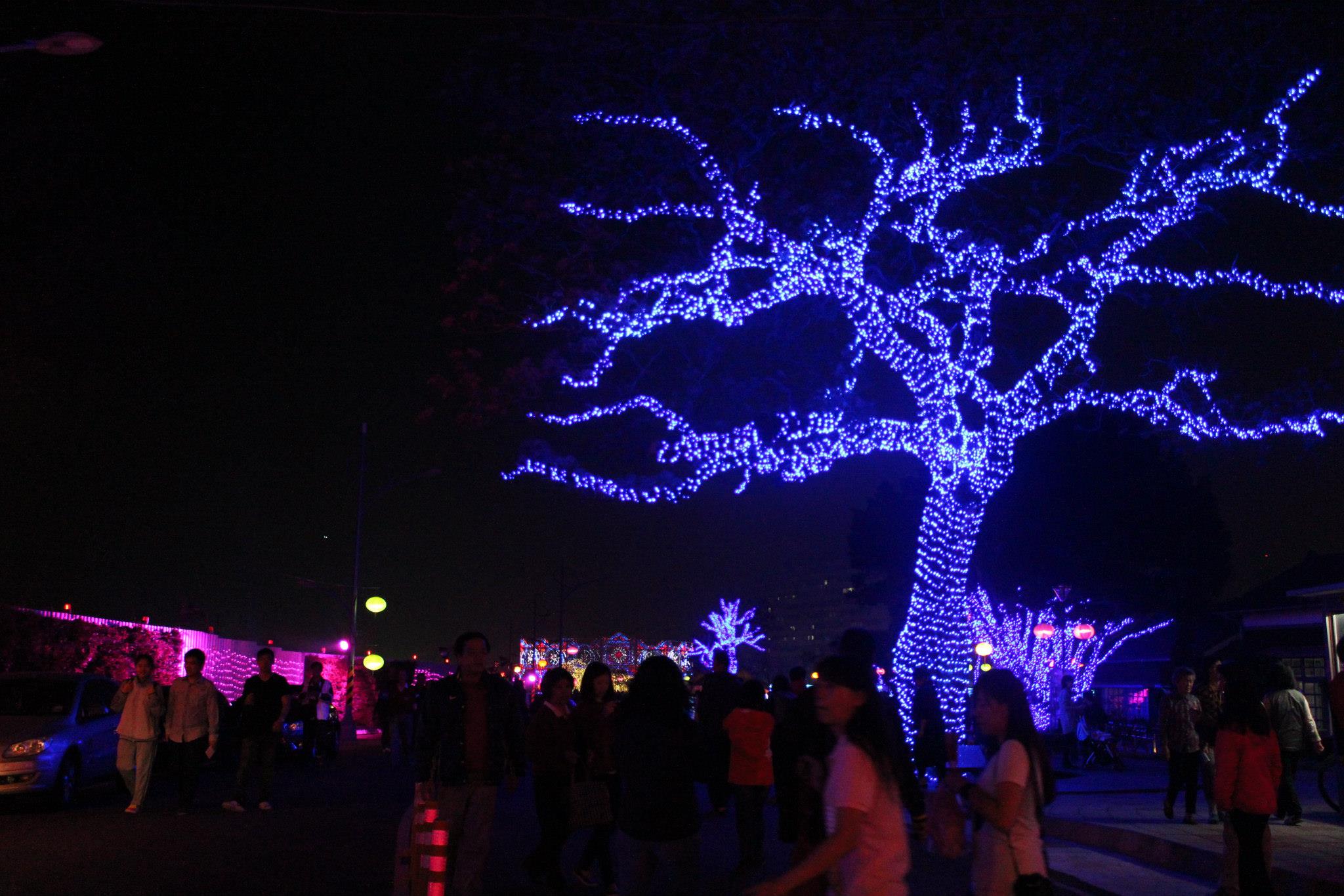 美麗的光之樹，在夜裡格外有生命力。(圖片來源／臺中市大里區公所)
