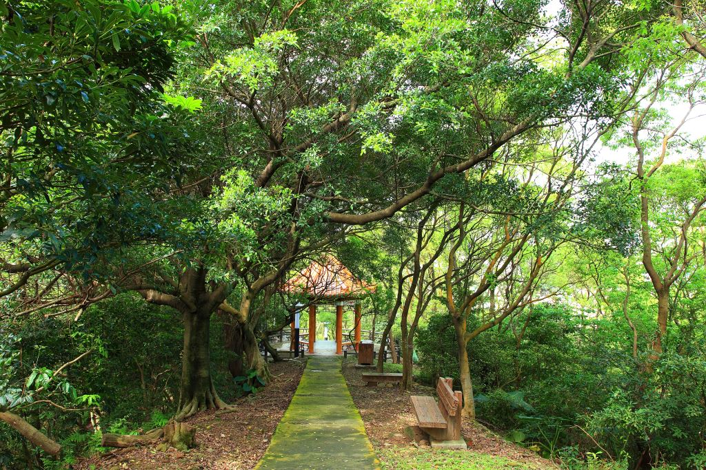 虎頭山公園擁有豐富的自然生態。(圖片來源／桃園觀光導覽網)