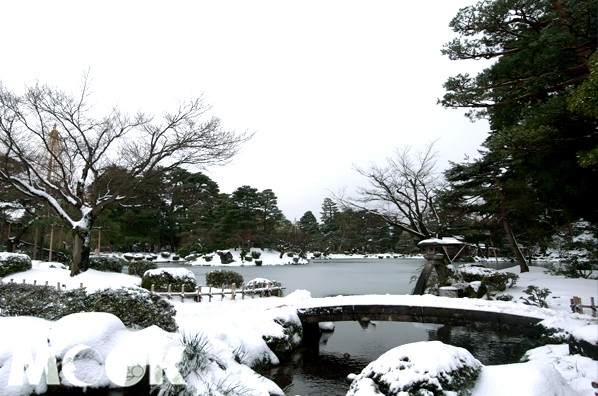 兼六園位於石川縣金澤市，是日本三大名園之一，北陸新幹線開通後，到此遊玩更方便。（攝影／MOOK景點家張盈盈）