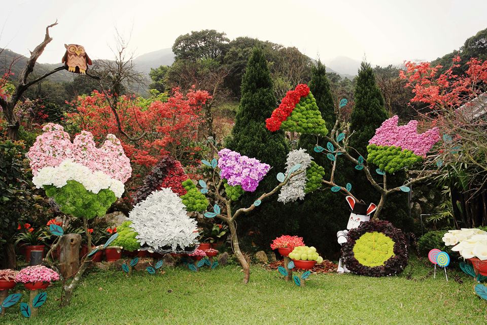 愛麗絲花園。（圖片來源／海芋季）