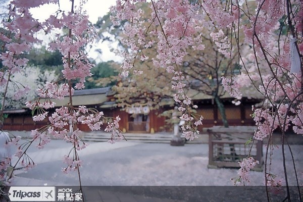 平野神社（圖片來源／墨刻編輯部提供）