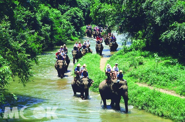 叢林溪谷中由大象帶著旅人們前進，感受來自原始叢林的呼喚。(圖片提供／泰國觀光局)