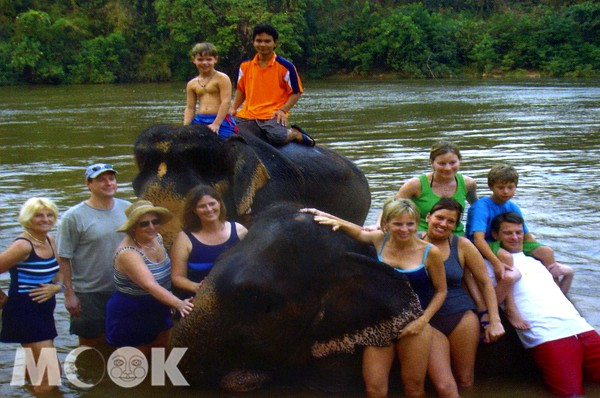 在泰國旅行自然少不了與大象互動的機會，這是親近大象的難得體驗。(圖片提供／泰國觀光局)