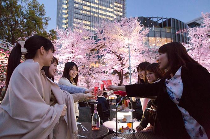 來到Midtown Blossom遊客可以在一片春意盎然的美景中享用美酒。（圖片來源／tokyo-midtown）