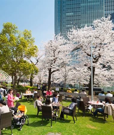 在櫻花樹下野餐享受春天的寫意輕快。（圖片來源／tokyo-midtown）